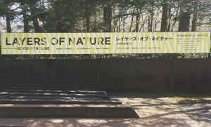 “Layers of Nature- Beyond the Line” now on view at the Sezon Musuem of Modern Art, April 21- September 2, 2018